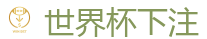 世界杯下注_2026 FIFA 世界杯(买球)官方中文站